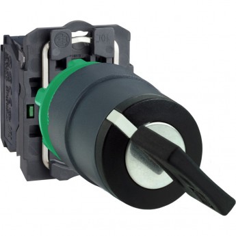 Переключатель SCHNEIDER ELECTRIC HARMONY XB5, 22мм, 2 позиции с ключем XB5AG61