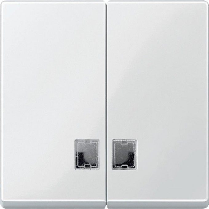 Клавиша двойная SCHNEIDER ELECTRIC MERTEN с окошком для световой индикации, ПОЛ.БЕЛЫЙ, SM MTN438519 Клавиша двойная SCHNEIDER ELECTRIC MERTEN с окошком для световой индикации, ПОЛ.БЕЛЫЙ, SM MTN438519
